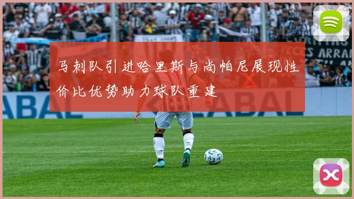 马刺队引进哈里斯与尚帕尼展现性价比优势助力球队重建