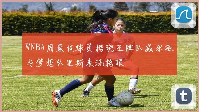 WNBA周最佳球员揭晓王牌队威尔逊与梦想队里斯表现抢眼