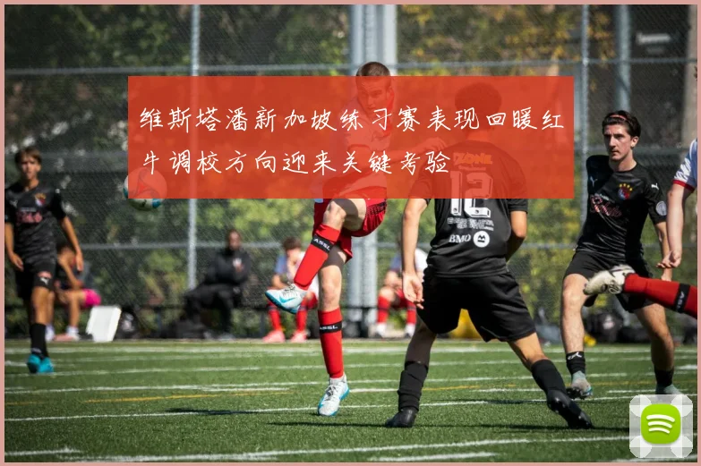 维斯塔潘新加坡练习赛表现回暖红牛调校方向迎来关键考验